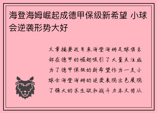 海登海姆崛起成德甲保级新希望 小球会逆袭形势大好